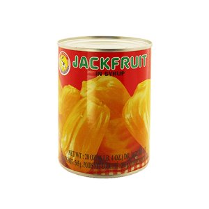 Jack Fruit in Syrup 잭푸룻 인 시럽